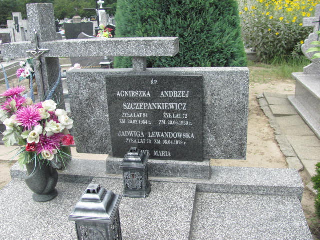 Jadwiga Lewandowska Wąsosze - Grobonet - Wyszukiwarka osób pochowanych