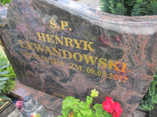 Henryk Lewandowski 1953 Wąsosze - Grobonet - Wyszukiwarka osób pochowanych